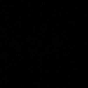 Meet your Posher, Zeb